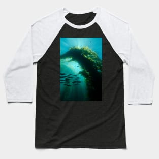 Sunrays In a Kelp Forest Baseball T-Shirt